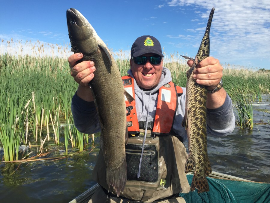 Jason Barnucz, Gar, Bowfin, Fisheries Resarch
