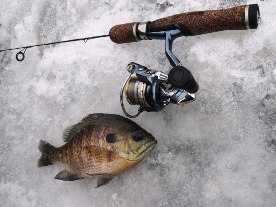 littlelake_edit305-01-14